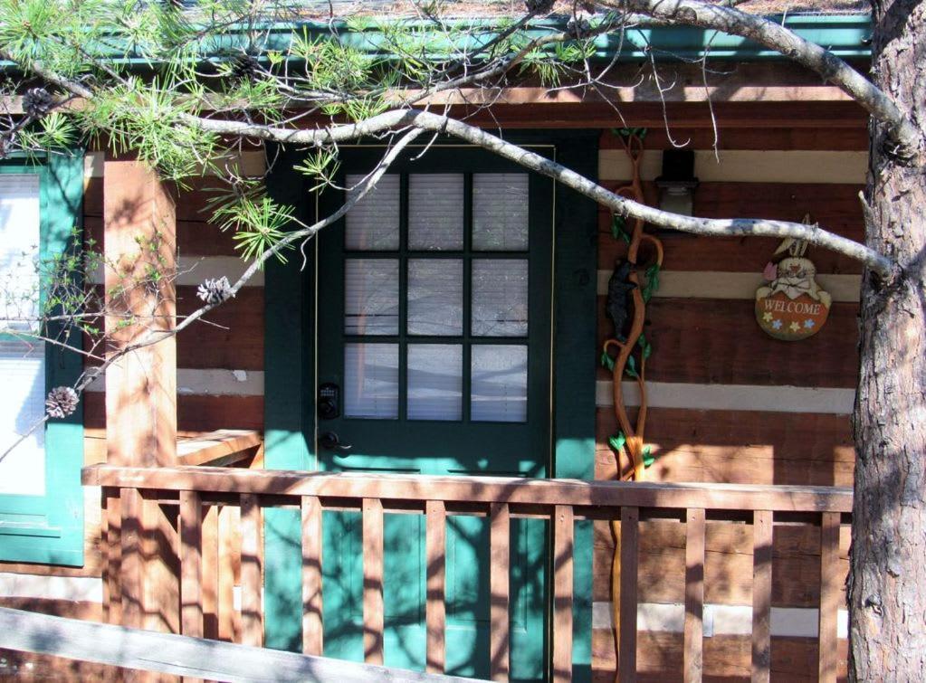 View! Cozy, Private, Fireplace, Hot Tub Log Cabin, Honeymoon! Sevierville Buitenkant foto